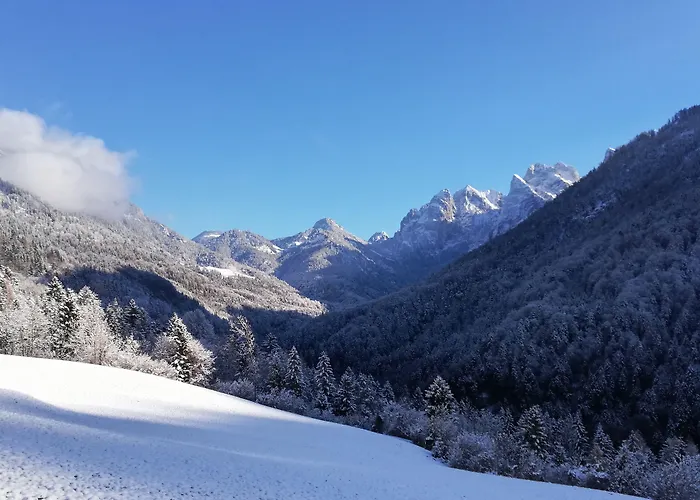 Berg'k'hof Kaisertal - Alpine Hideaway *
