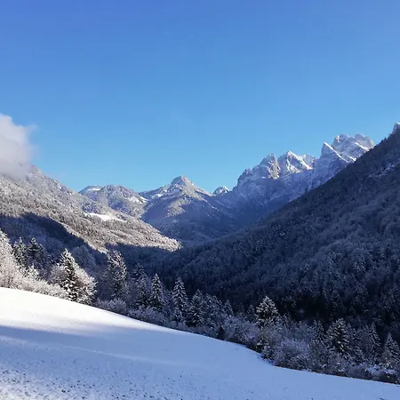بيرغكهوف كايزرتال - ألبين هيداوي *